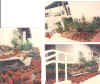 Landcape del Olive Garden on Ingram and 410.jpg (1731049 bytes)