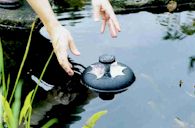Placing the OASE Mini Pond Jet into a pond